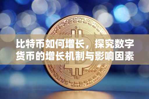 比特币如何增长，探究数字货币的增长机制与影响因素