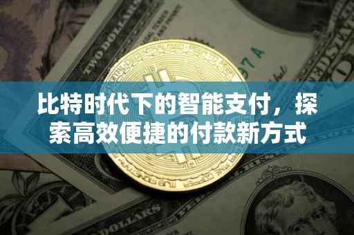 比特时代下的智能支付，探索高效便捷的付款新方式
