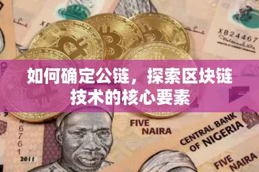 如何确定公链，探索区块链技术的核心要素