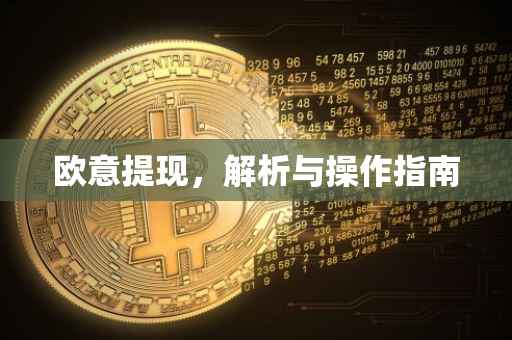 欧意提现，解析与操作指南