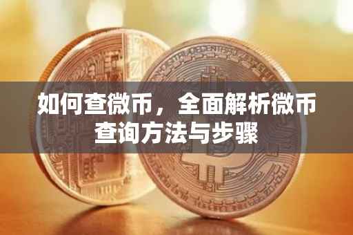 如何查微币，全面解析微币查询方法与步骤