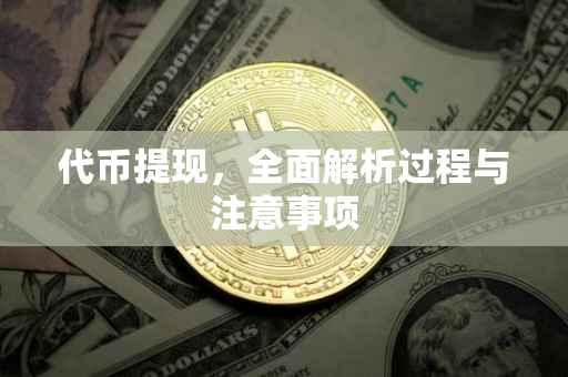 代币提现，全面解析过程与注意事项