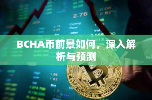 BCHA币前景如何，深入解析与预测