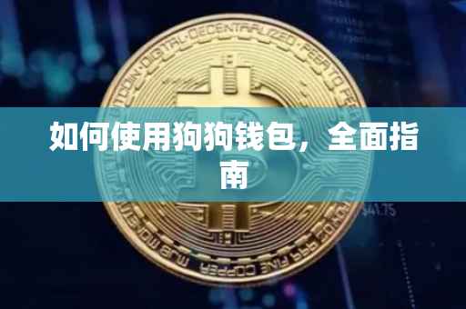 如何使用狗狗钱包，全面指南