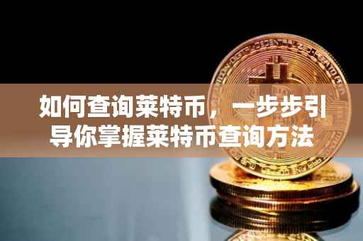 如何查询莱特币，一步步引导你掌握莱特币查询方法