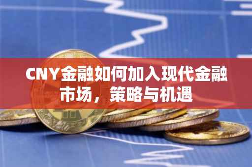 CNY金融如何加入现代金融市场，策略与机遇