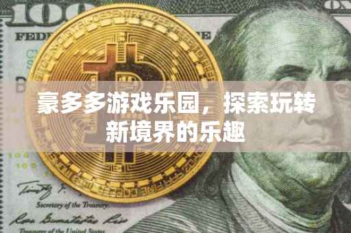 豪多多游戏乐园，探索玩转新境界的乐趣