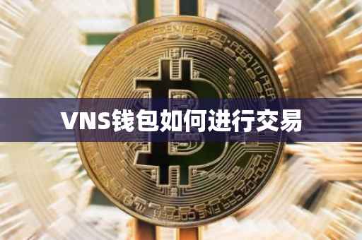 VNS钱包如何进行交易