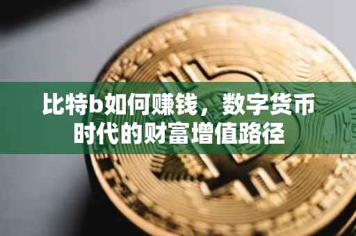 比特b如何赚钱，数字货币时代的财富增值路径