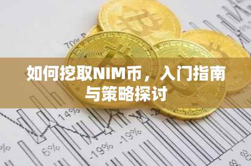 如何挖取NIM币，入门指南与策略探讨