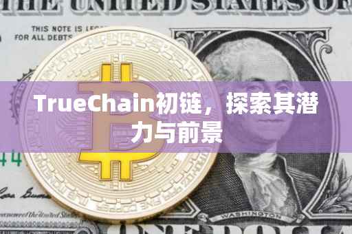 TrueChain初链，探索其潜力与前景