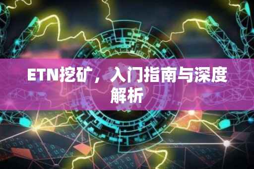 ETN挖矿，入门指南与深度解析