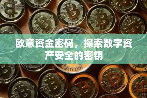 欧意资金密码，探索数字资产安全的密钥