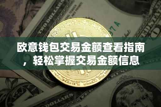 欧意钱包交易金额查看指南，轻松掌握交易金额信息