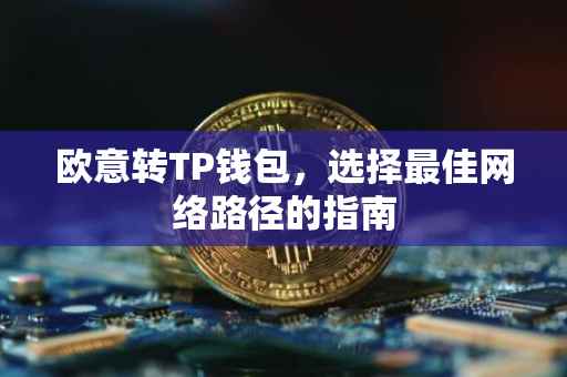 欧意转TP钱包，选择最佳网络路径的指南