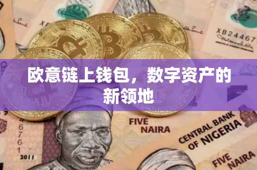 欧意链上钱包，数字资产的新领地