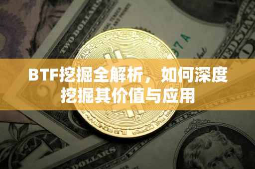 BTF挖掘全解析，如何深度挖掘其价值与应用