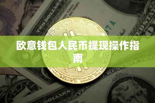 欧意钱包人民币提现操作指南