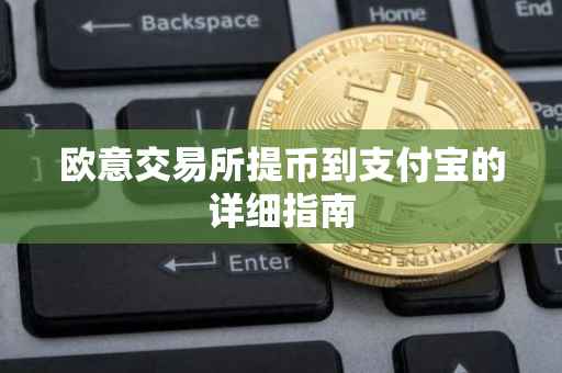 欧意交易所提币到支付宝的详细指南