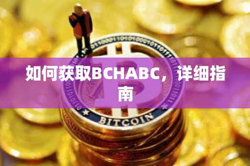 如何获取BCHABC，详细指南