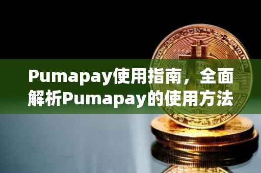 Pumapay使用指南，全面解析Pumapay的使用方法