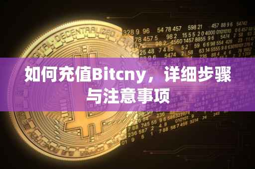 如何充值Bitcny，详细步骤与注意事项