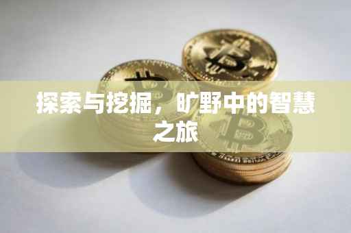 探索与挖掘，旷野中的智慧之旅