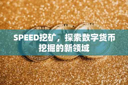 SPEED挖矿，探索数字货币挖掘的新领域