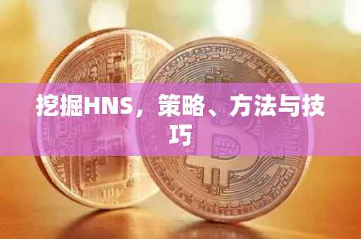 挖掘HNS，策略、方法与技巧
