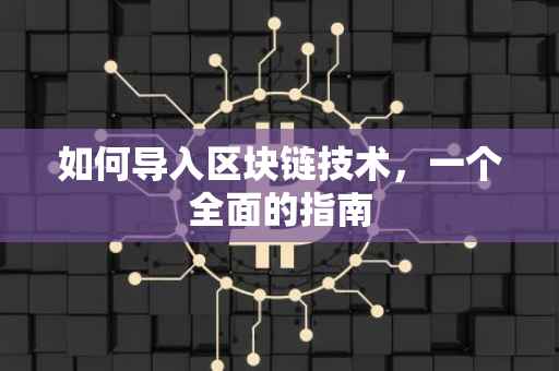 如何导入区块链技术，一个全面的指南