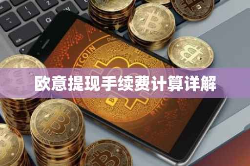 欧意提现手续费计算详解