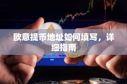 欧意提币地址如何填写，详细指南