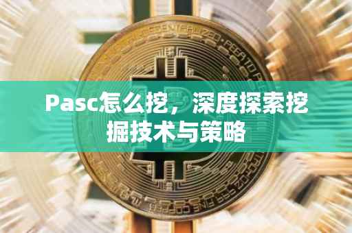 Pasc怎么挖，深度探索挖掘技术与策略
