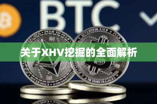 关于XHV挖掘的全面解析