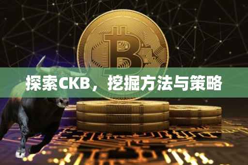 探索CKB，挖掘方法与策略