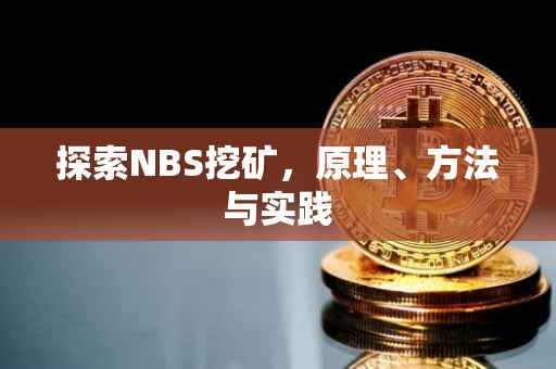 探索NBS挖矿，原理、方法与实践