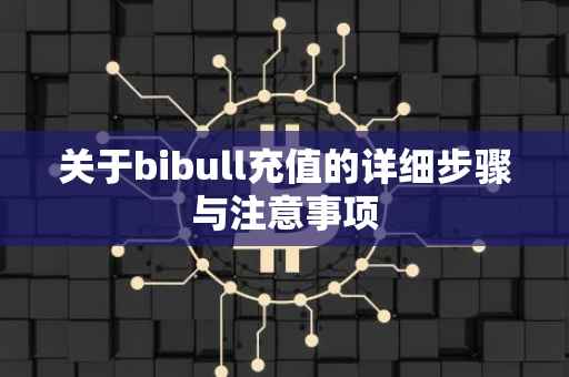 关于bibull充值的详细步骤与注意事项