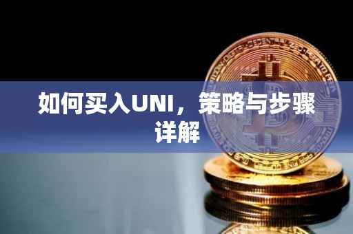 如何买入UNI，策略与步骤详解