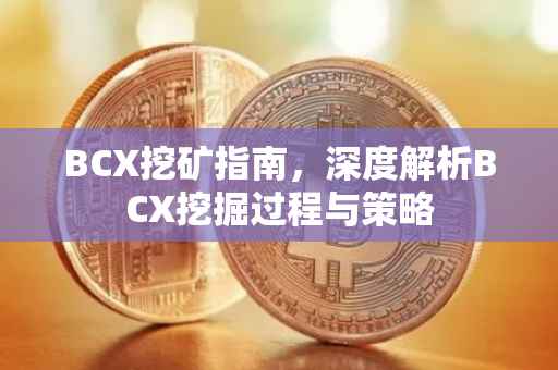 BCX挖矿指南，深度解析BCX挖掘过程与策略