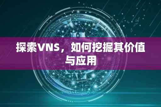 探索VNS，如何挖掘其价值与应用