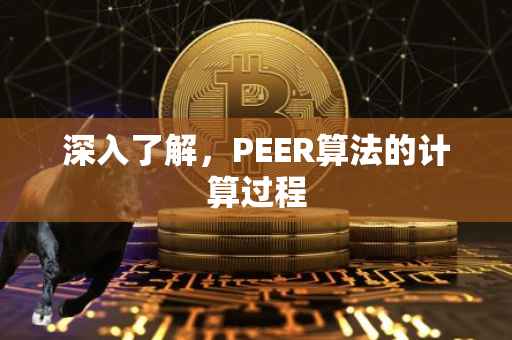 深入了解，PEER算法的计算过程