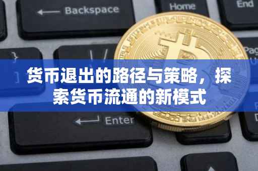 货币退出的路径与策略，探索货币流通的新模式