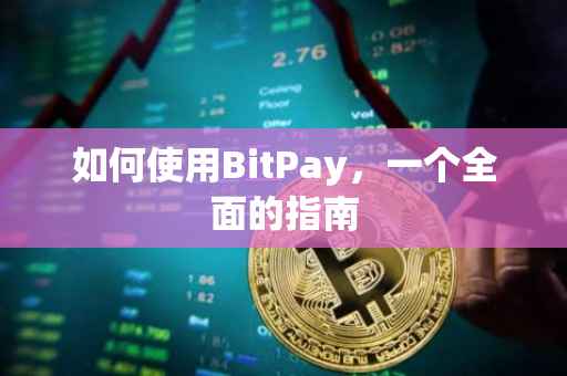 如何使用BitPay，一个全面的指南