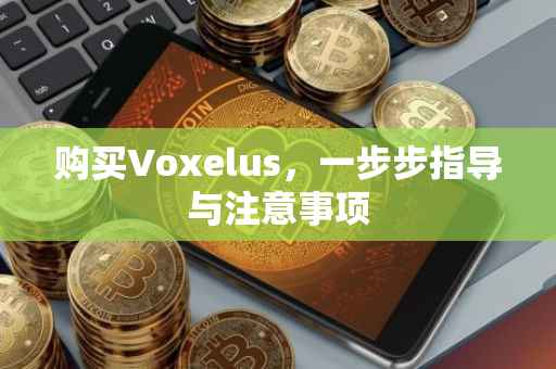 购买Voxelus，一步步指导与注意事项