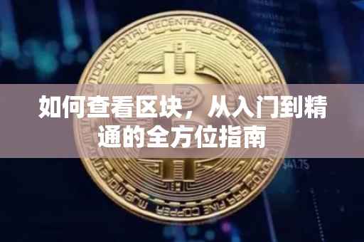 如何查看区块，从入门到精通的全方位指南