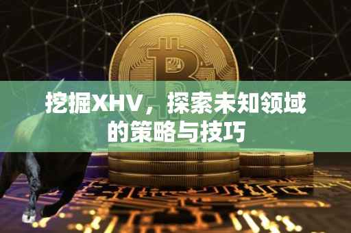 挖掘XHV，探索未知领域的策略与技巧