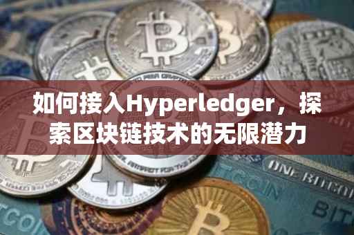 如何接入Hyperledger，探索区块链技术的无限潜力