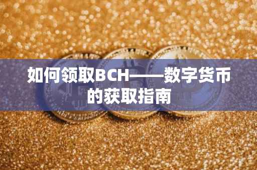 如何领取BCH——数字货币的获取指南
