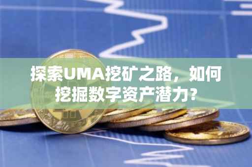 探索UMA挖矿之路，如何挖掘数字资产潜力？
