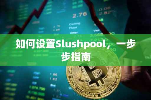如何设置Slushpool，一步步指南